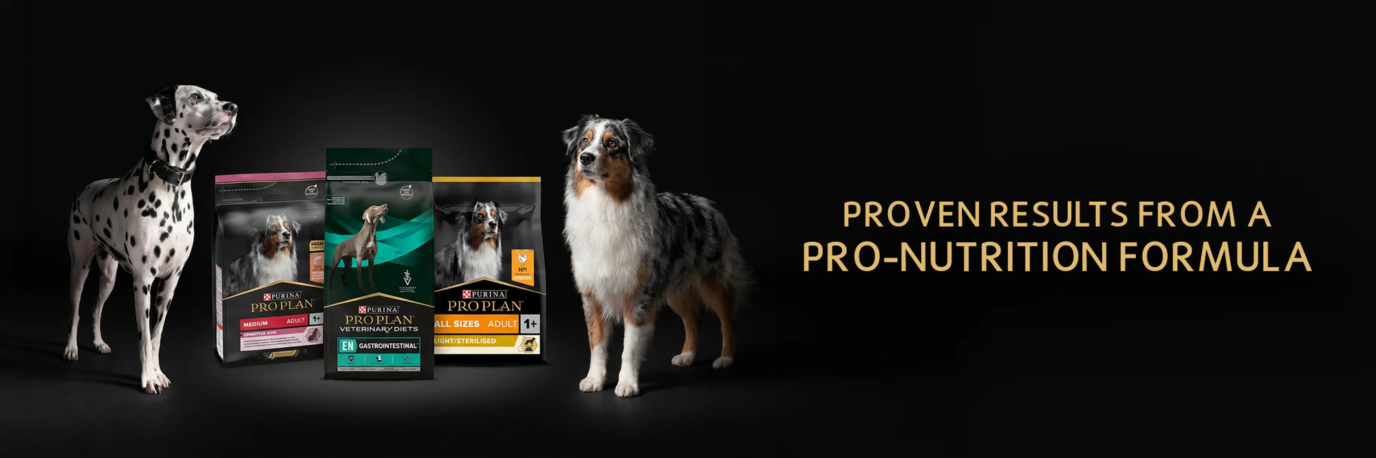 Elevate Your Pet's Signature Style