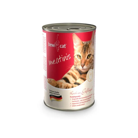 Adult Cats