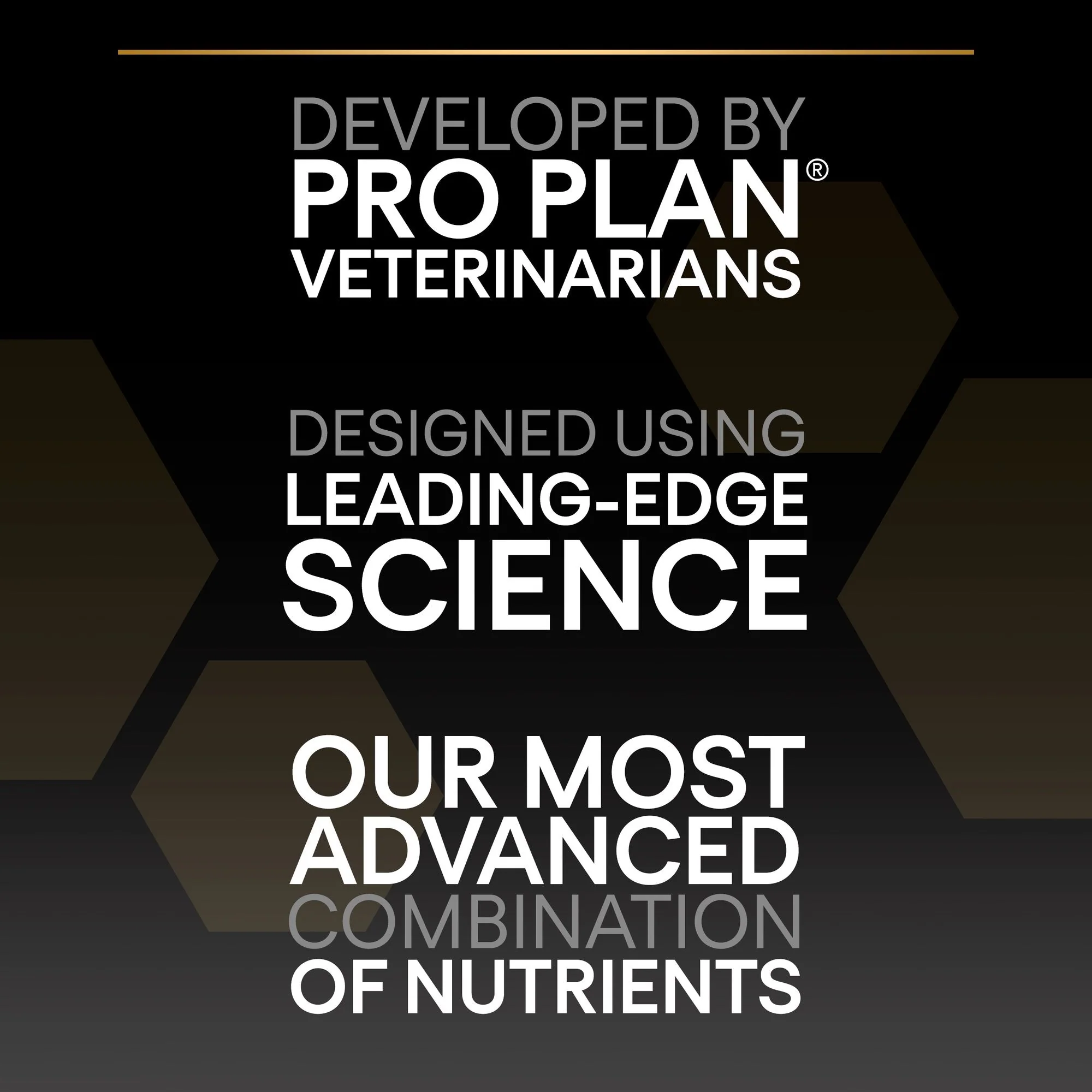 Thumbnail 19